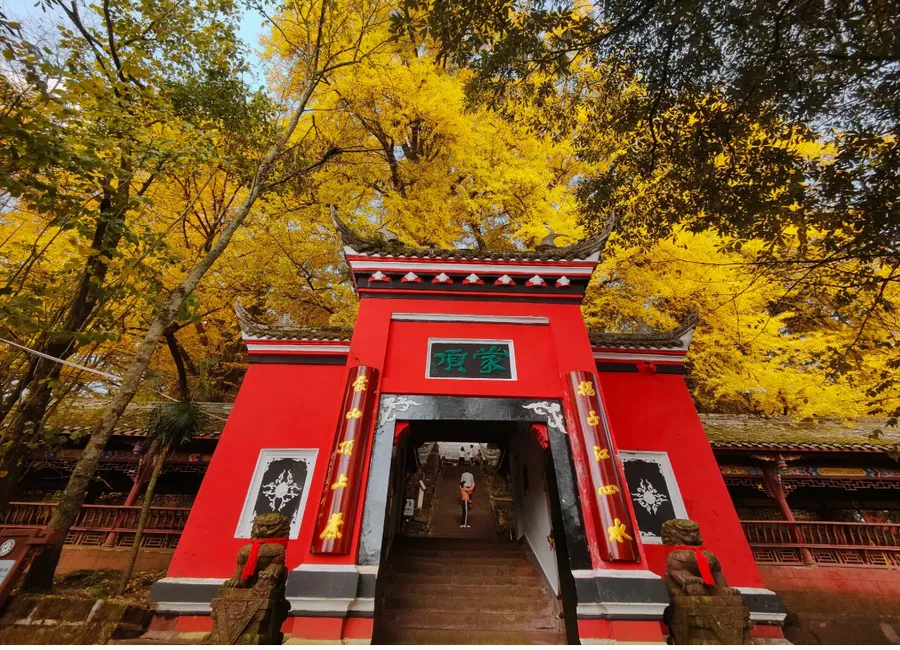 蒙顶山