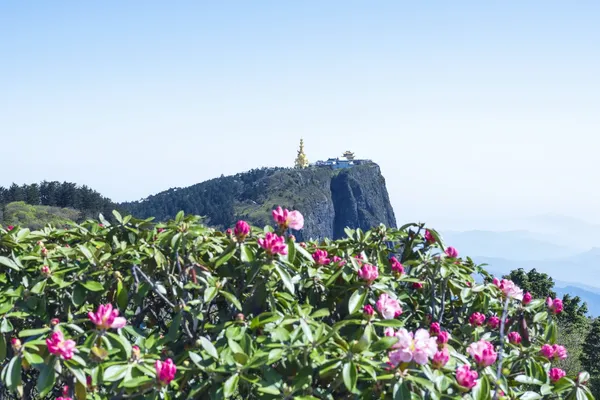 峨眉山2