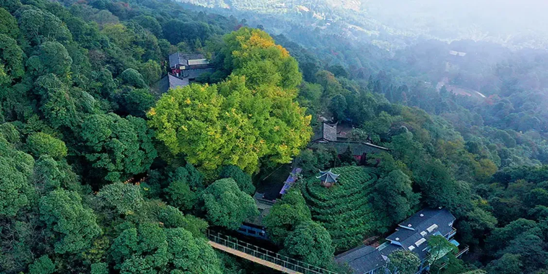 蒙顶山1