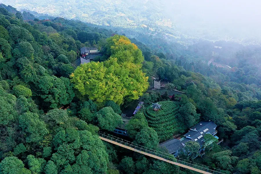 蒙顶山1