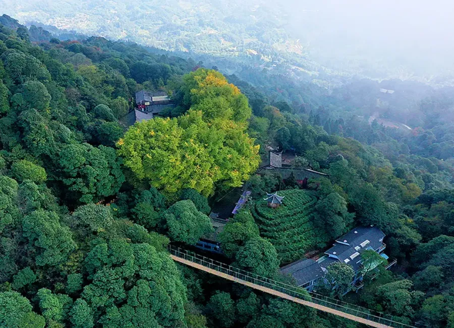 蒙顶山1